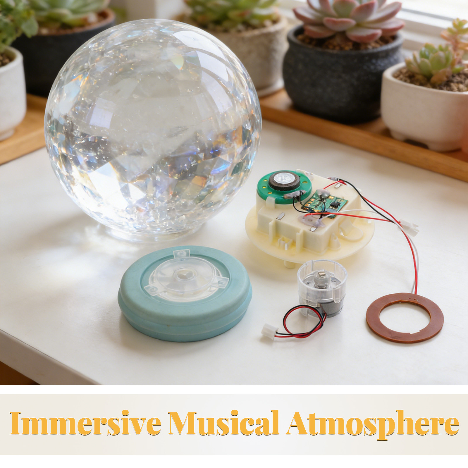 Snow Globe Movement Music Ligh - Snow Globe Musical 리뷰 및 가격