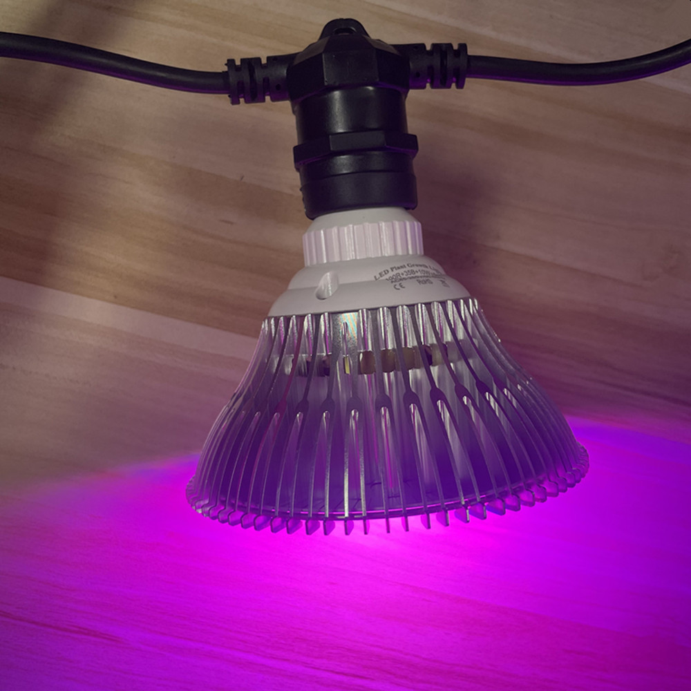 10M Cable LED String Commercia - Led Fairy String Lights 리뷰 및 가격
