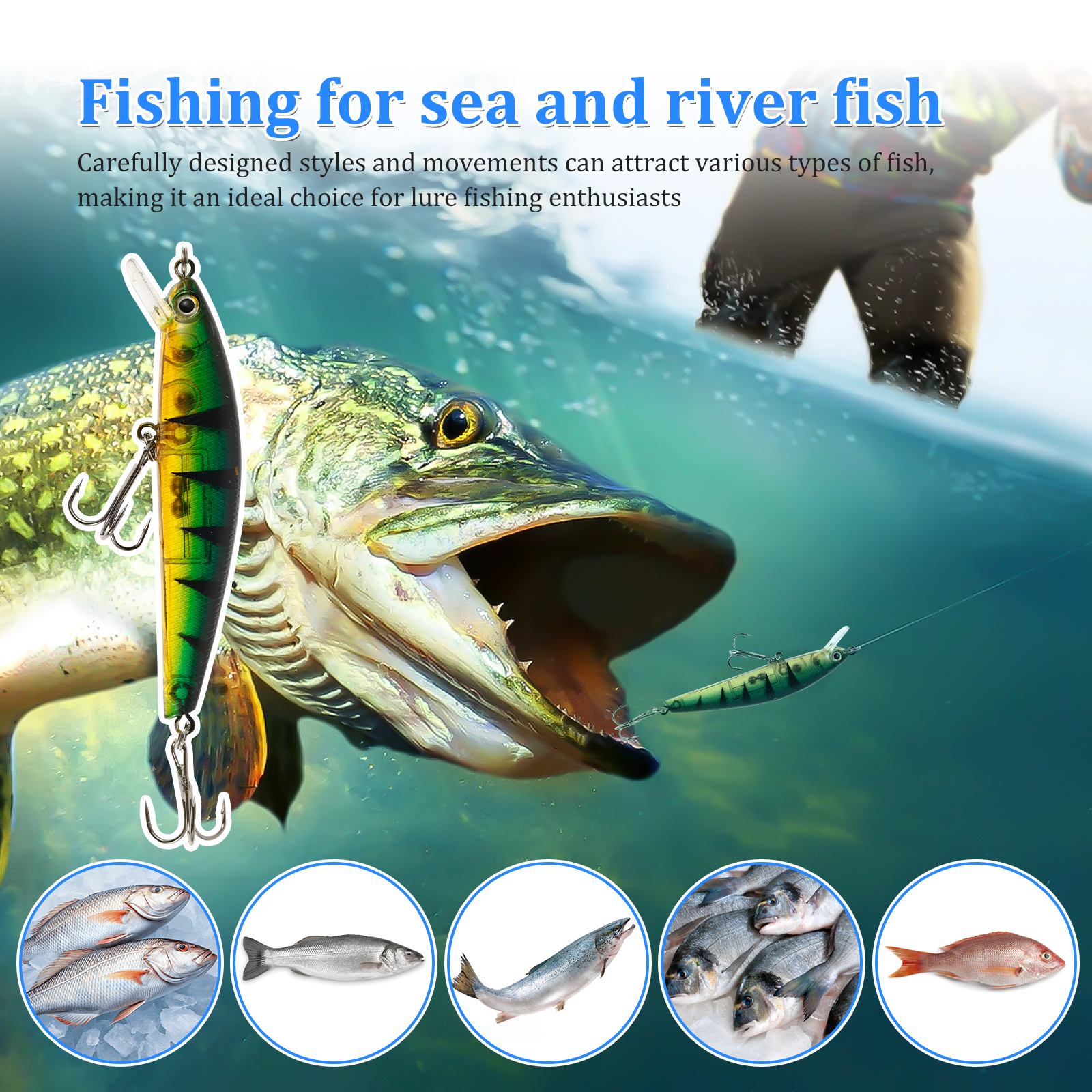 Advent Calendar Fishing Lure C - Advent Calendar Gift 리뷰 및 가격