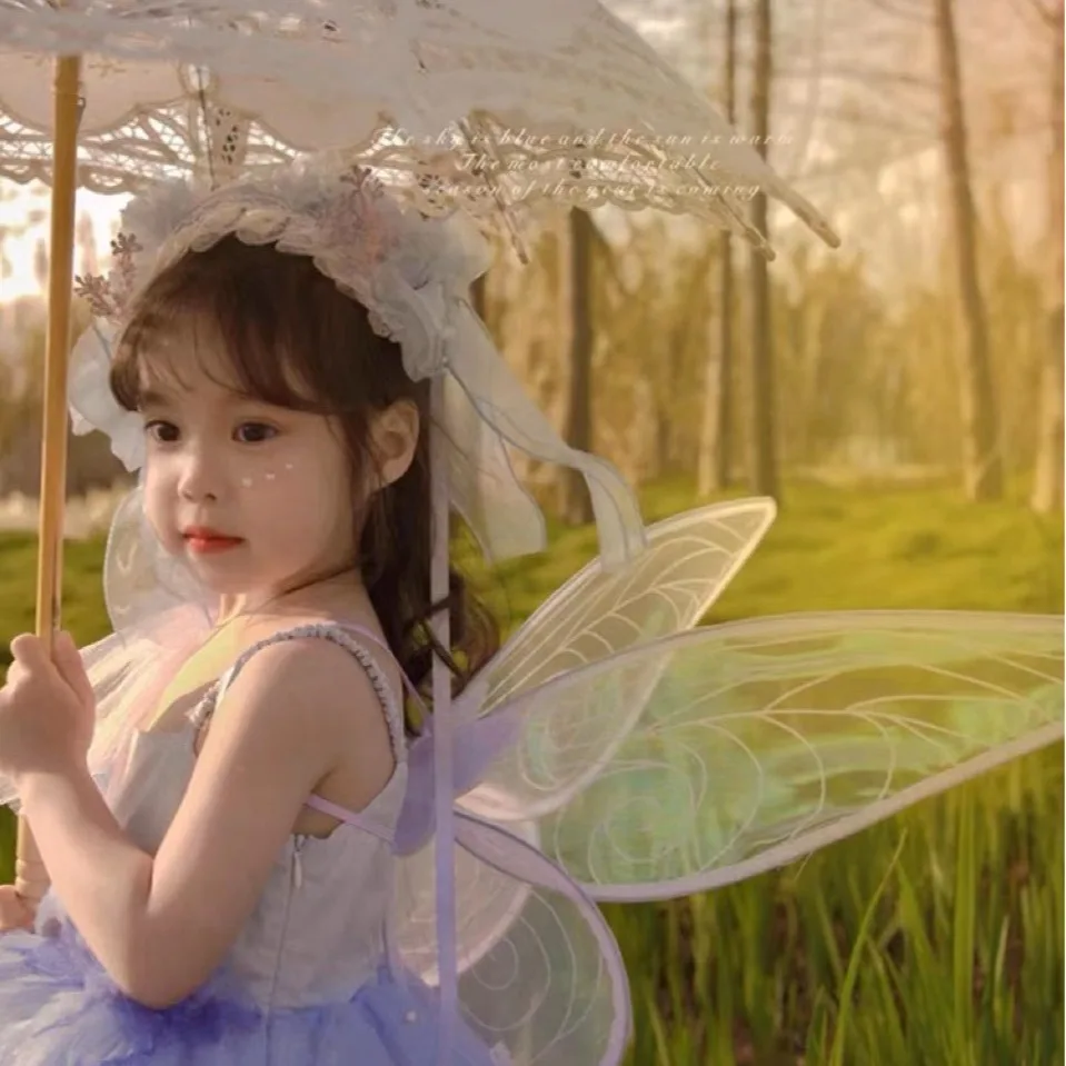 Princess Butterfly Fairy Wing  - Elf Costume Christmas 리뷰 및 가격